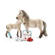 Eerste Hulp Set Hannah - SCHLEICH 42430